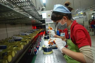 400億美元投資注入，柬埔寨住宿服務業迎巨變