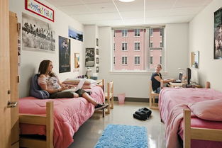 高校住宿服務回歸純粹，河北新規禁止公寓有償服務與住宿捆綁